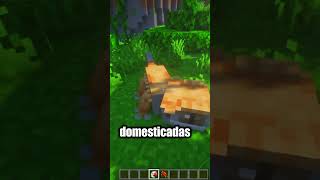 NUEVAS CRIATURAS MONTABLES para MINECRAFT 1201  Minecraft Mods minecraft minecraftmods [upl. by Renrag630]