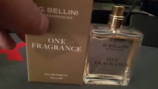 MENS FRAGRANCE REVIEW There are some GREAT copies out there [upl. by Yrakaz]