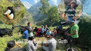 K K Khayem Ta Hamile Gothma🙄Let’s Enjoy With Us❤️ Aba Besi Jharyo Bastu Haru 🐄lamjung nepal [upl. by Dana]