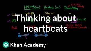 human heart Structure and Function  Chapter Circulation Video  2 [upl. by Aniled]