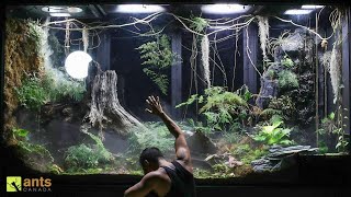 Saying Goodbye to Some Beloved Animals in My Giant Rainforest Vivarium [upl. by Eninnej948]