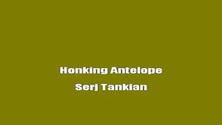 Serj Tankian  Honking Antelope Karaoke Lyrics [upl. by Neyrb]