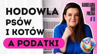 Hodowla psów i kotów a podatki [upl. by Aldwon]