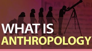 What is Anthropology  Sociocultural  Linguistic amp Biological Anthropology  What is Archaeology [upl. by Yroffej]