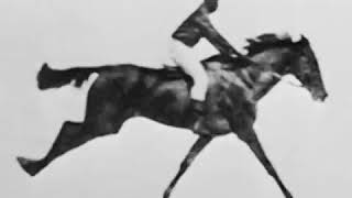 quotSallie Gardner at a Gallopquot or quotThe Horse in Motionquot Eadweard Muybridge 1878 [upl. by Lemra]