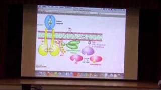 Signaling III  Metabolic Control I [upl. by Finbur]