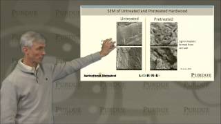 BampB Hydrolysisdetermining substrate characteristics in liquid hot water pretreated hardwood [upl. by Behlau452]