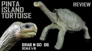 Rebor ™ Grab N Go Pinta Island Tortoise  Lonesome George  Galapagos Riesenschildkröte  GNG 06 [upl. by Aynotahs]