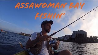 KAYAK FISHING Little Assawoman Bay SURPRISE ENCOUNTER [upl. by Kayle279]