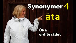 Lär dig svenska Synonymer 4  äta  71 undertexter  Learn Swedish [upl. by Sugna]