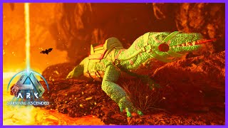 Lava Cave UITDAGING kan de Megalania het aan  Ark Survival Ascended E18 [upl. by Lebam]