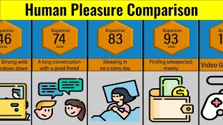 Comparison Human Pleasure  Human Pleasures Of All Time  Things Which Makes Humans Happy [upl. by Adabel]