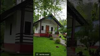 Kaziranga resort assam [upl. by Hukill975]