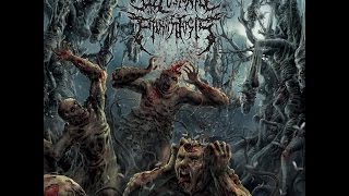 Delusional Parasitosis  Ingurgitating Intestinal Rot Full Album [upl. by Ingelbert]