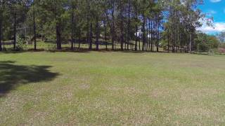 Lumeah Avenue Reserve Pimpama QLD  dogexplorercomau [upl. by Anyehs]