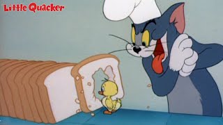 Little Quacker 1950 Tom and Jerry Cartoon Short Film  Review [upl. by Kwasi]