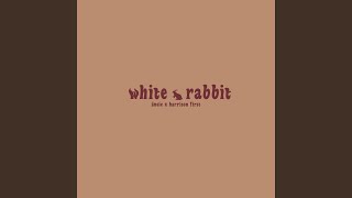 white rabbit Cover [upl. by Noyar]