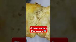 cheetos under a Microscope food viralvideo viral2024 [upl. by Arnaud]