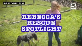 Rebeccas Rescue Spotlight Bridge Home NoKill Animal Rescue [upl. by Nyrak947]