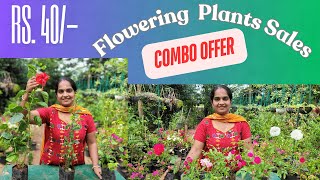 ചെടികൾ COMBO SPECIAL OFFER SALES 🌺🌸🍀🍃 II MALAYALAM VLOG 119UshusHomeGarden [upl. by Savitt995]