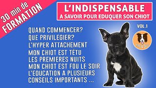 COMMENT ÉDUQUER SON CHIOT  LINDISPENSABLE [upl. by Notyep]