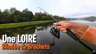 PÊCHE en LOIRE  Cest blindé de BROCHETS [upl. by Tiossem880]