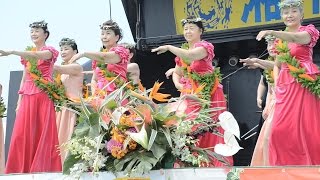 Aloha No Kalakaua イリママヒプアレミ フラスタジオ vol4 湘南祭2016 [upl. by Ayidah]