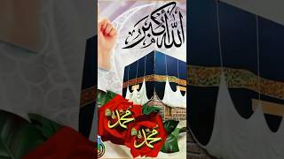 Taiba bulana aaka taiba bulanaIslamic statusI love naatSaddamhnazhari [upl. by Watanabe]