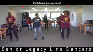 Cold Line Dance Instructional [upl. by Anesusa]