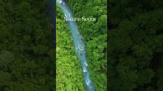 Nature Sounds  Relaxing Nature Sounds for Meditation Deep Sleep and Background Music [upl. by Eenej468]