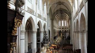 Messiaen La Nativité  Dessein Eternels  Gerard Adriaanse  Kam orgel Grote Kerk Dordrecht [upl. by Giulio]