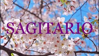 SAGITARIO ♐️TÚ DECIDES SI TE MERECE GANAS UNA GRAN CANTIDAD DE DINERO✨ sagitario parati hoy [upl. by Rehotsirhc369]