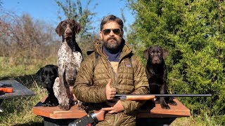 Labrador Retriever Training  Raising an Awesome Family Dog That Goes Hunting Sometimes [upl. by Mazurek]