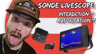 PÊCHE AU LIVE bientôt interdite  pas dinquiétude zéro problème avec les sonde live 😁 [upl. by Bert]