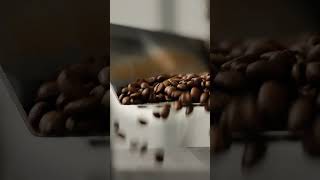 Inside Our Roastery A Coffee Lovers ASMR Journey [upl. by Uri]