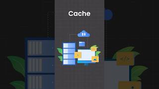 Cash vs Cache shorts [upl. by Dorthy]