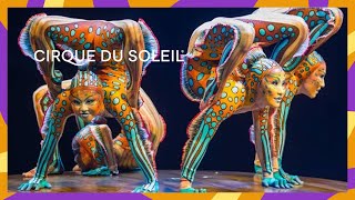 KURIOS  Hypnotique  Official Music Video  Cirque du Soleil [upl. by Lodmilla]