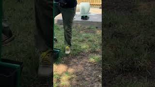 LawnPecker is the BEST Manual Lawn Aeration Tool That I Have Used [upl. by Manus]