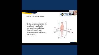 planos y ejes [upl. by Gruver]