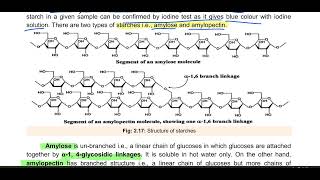 Polysaccharides Starch Glycogen Cellulose Chitin 11th biology biology carbohydrates molecule [upl. by Gaudette]