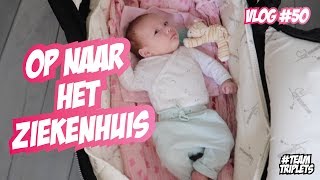 BABYS KRIJGEN CONTROLE ☆ DRIELING FAMILIE VLOG 50 [upl. by Thurlough190]