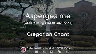 서울대교구 주교좌 명동대성당 가톨릭합창단 Asperges meGregorian Chant [upl. by Cha]