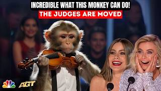 First Monkey to Play an INSTRUMENT on AGT Emotional Audition  Everyone in Tears [upl. by Arlo40]