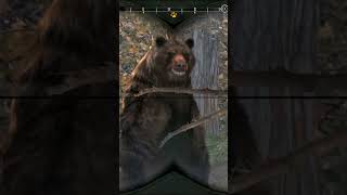 BLACK BEAR HUNTING Cabelas Big Game Hunter Pro Hunts 2014  shorts viral hunting [upl. by Alexi]