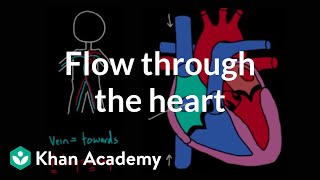 Flow through the heart  Circulatory system physiology  NCLEXRN  Khan Academy [upl. by Lekim]