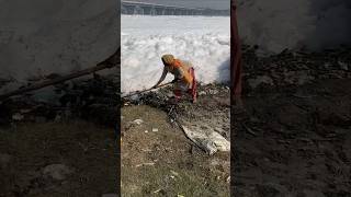 यमुना नदी साफ क्यों नही होती  cleaning of yamuna river [upl. by Aikemaj677]