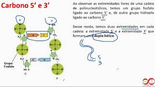 Pilula Óptica 50 Ligações DNA [upl. by Llertac]