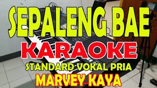 PALENG BAE MARVEY KAYA KARAOKE VOKAL COWO [upl. by Mastic]