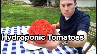 Hydroponic tomato taste test and final results — part 3 [upl. by Anirec]