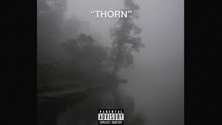 FREE novulent x ekkstacy type beat 2024 quotthornquot [upl. by Kenwrick179]